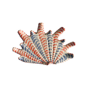 Ceramic Shell Medium 21-016