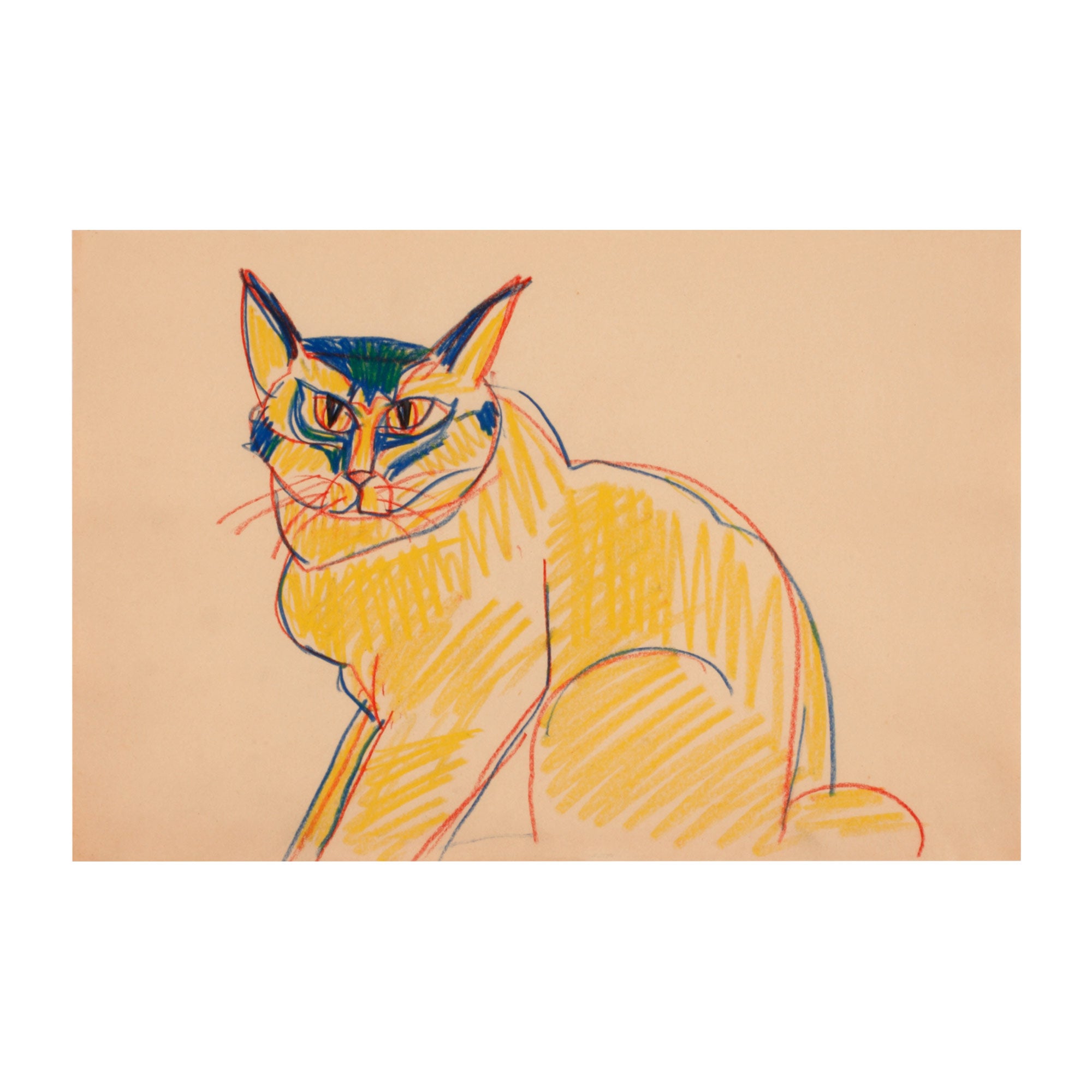 Yellow Cat